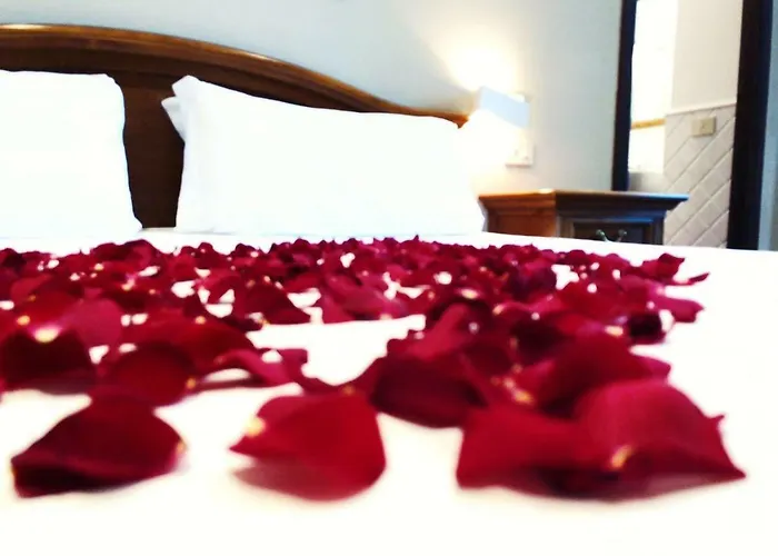 Otel Garden 3*